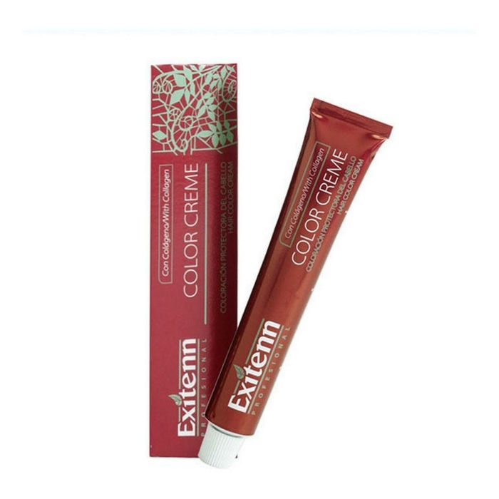 Exitenn Color Creme 60ml Color 12 Int Exitenn Color Creme 60ml Color 12 Int