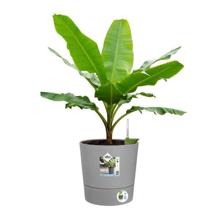 ELHO - Maceta - Greensense Aqua Care Round 30 - Cemento ligero - Interior/exterior - Ø 29,5 x H 29,1 cm 2 ELHO - Maceta - Greensense Aqua Care Round 30 - Cemento ligero - Interior/exterior - Ø 29,5 x H 29,1 cm 2