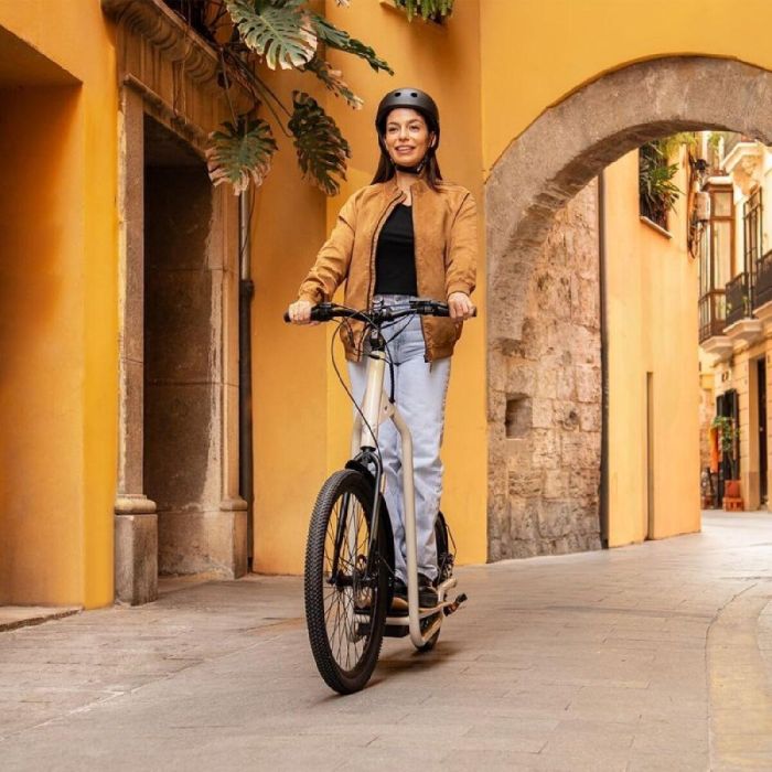 Patinete Eléctrico Cecotec Bicinete Urban 1000 W 1