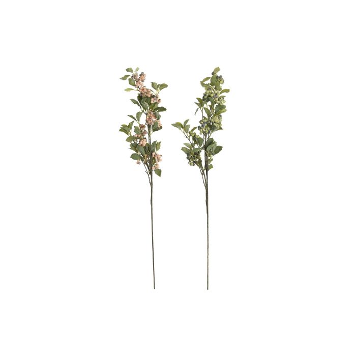 Rama  DKD Home Decor Verde Naranja 12 x 89 x 12 cm (12 Unidades) 2