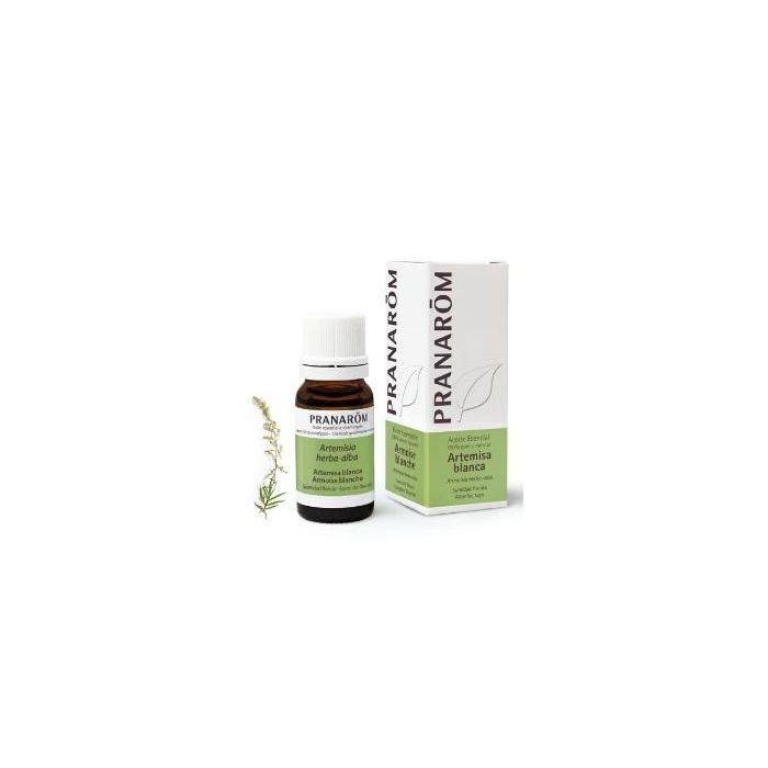 Aceite Esencial De Artemisa Blanca Aceite Esencial De Artemisa Blanca