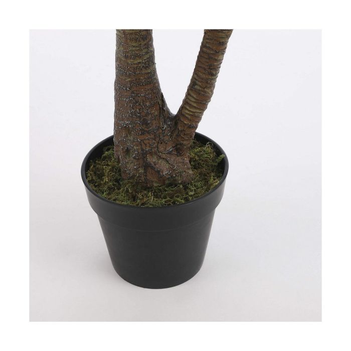 Planta Decorativa Mica Decorations Yucca (120 x 60 cm) 5 Planta Decorativa Mica Decorations Yucca (120 x 60 cm) 5