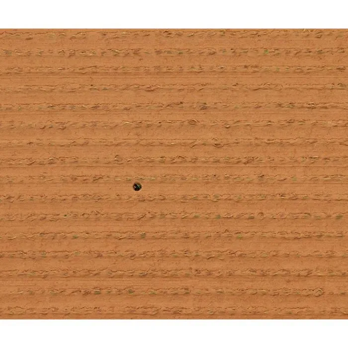 Exelgreen 124414 Hierba Natura 2D 38mm 1x5 m 3 Exelgreen 124414 Hierba Natura 2D 38mm 1x5 m 3