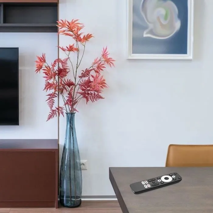 CGV EXPAND MINI 4K GD1 HDMI TV Stick UHD Compatible con Asistentes de Voz de Google Micrófono Incorporado 3