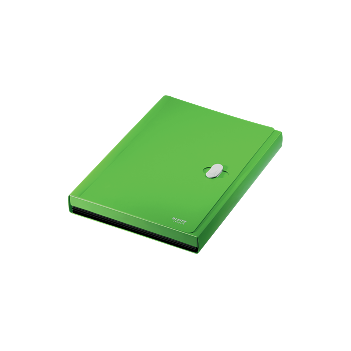 Leitz Carpeta Clasificadora Fuelle Polipropileno 5 Compartimentos DIN A4 Verde 2