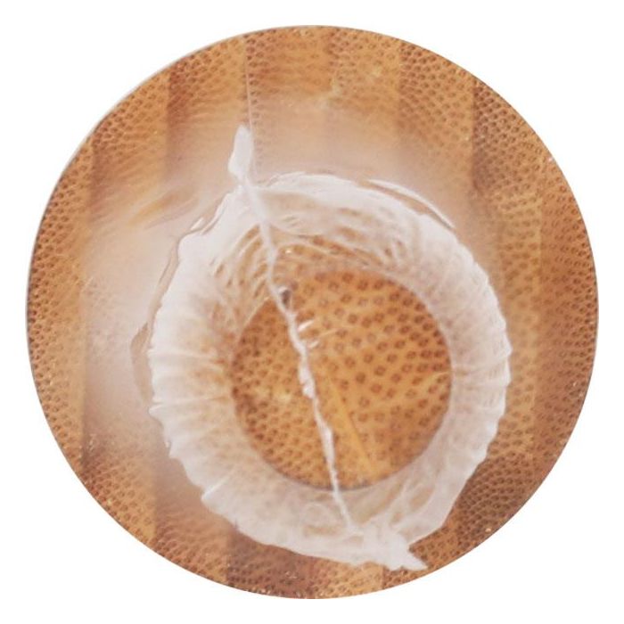 Rodillo para amasar de bambú Quttin 50.8 x 5 cm (12 Unidades) 2 Rodillo para amasar de bambú Quttin 50.8 x 5 cm (12 Unidades) 2