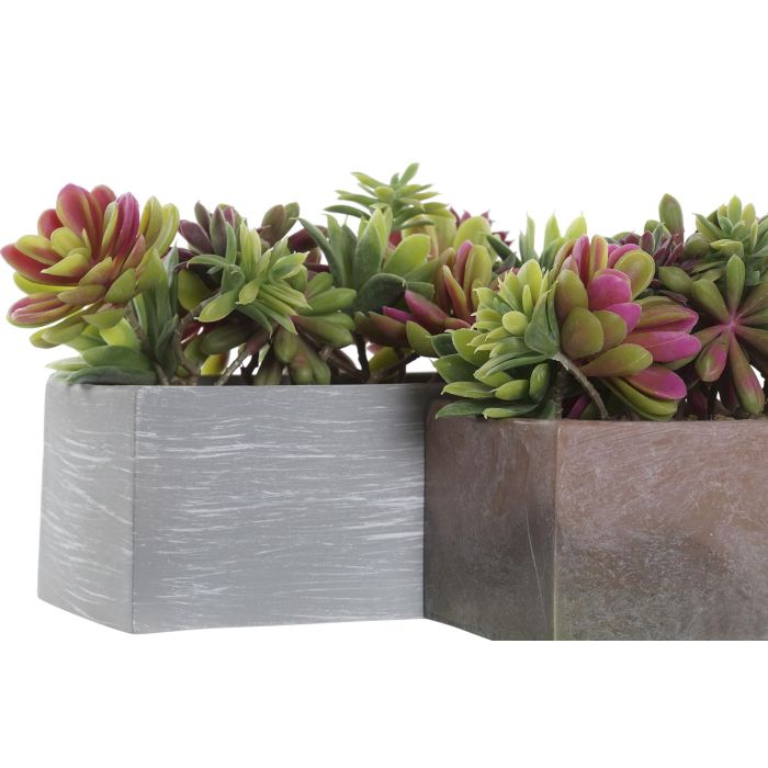 Planta DKD Home Decor Gris Marron 11 x 14.5 x 23.5 cm (4 Unidades) 1