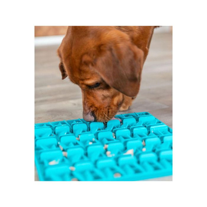 Esterilla de Juegos y Premios para Mascotas Trixie Lick'n'Snack Turquesa 1