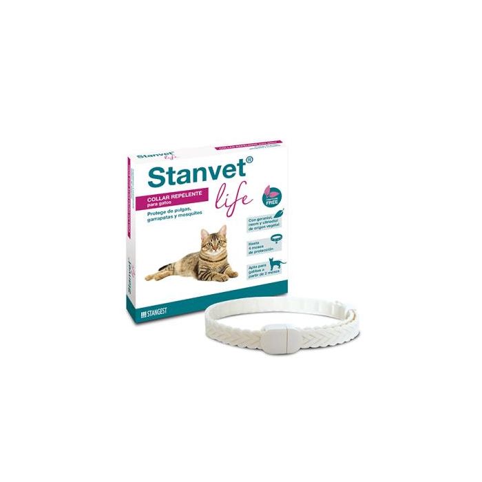 Stangest Collar Gato Stanvet Life