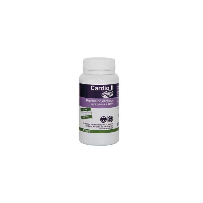 Stangest Cardio Ii Carnitine 60 Capsulas