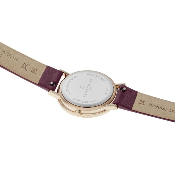 Reloj Mujer Pierre Cardin CBV-1506 3