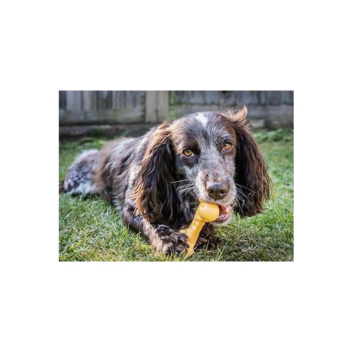 Nylabone Dura Chew Hueso Mordedor Larga Duración para Perros Masticadores Potentes Sabor Queso Talla M - Limpieza Dental, Control Placa y Sarro 0 Nylabone Dura Chew Hueso Mordedor Larga Duración para Perros Masticadores Potentes Sabor Queso Talla M - Limpieza Dental, Control Placa y Sarro 0