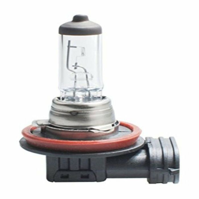 M-Tech MTECZ64 Lámpara Halógena H16 Casquillo PGJ19-3 12V 19W con Vidrio de Cuarzo Templado de Alta Durabilidad