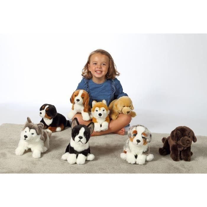 Gipsy Toys AUC3268060711251 Peluche Perro Boyero de Berna Sentado 25 cm 1 Gipsy Toys AUC3268060711251 Peluche Perro Boyero de Berna Sentado 25 cm 1