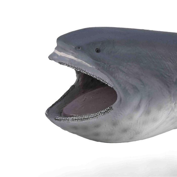 Tiburón Boca Ancha Xl-80046-Collecta 1