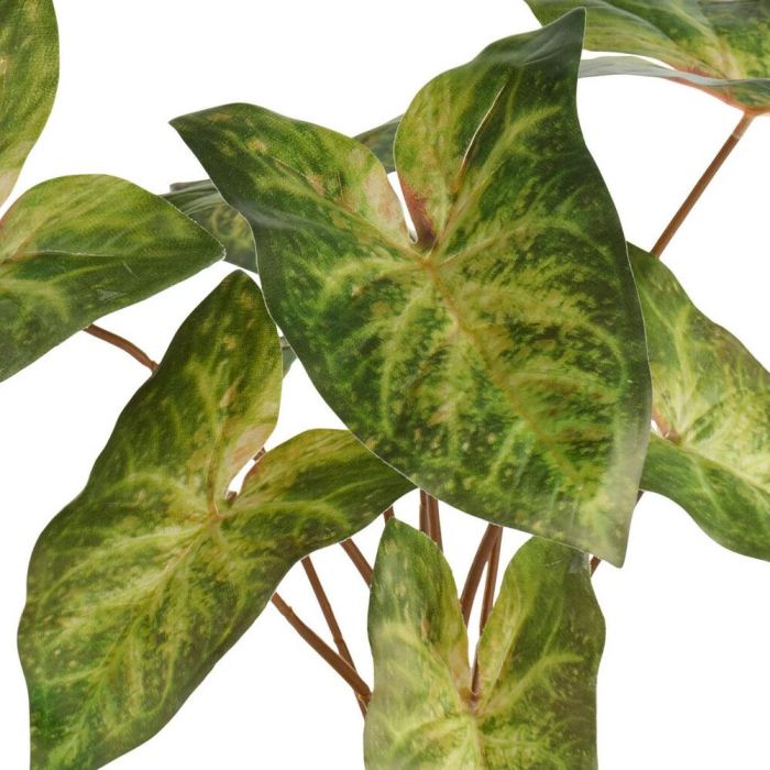 Planta Artificial Caladium Day 1