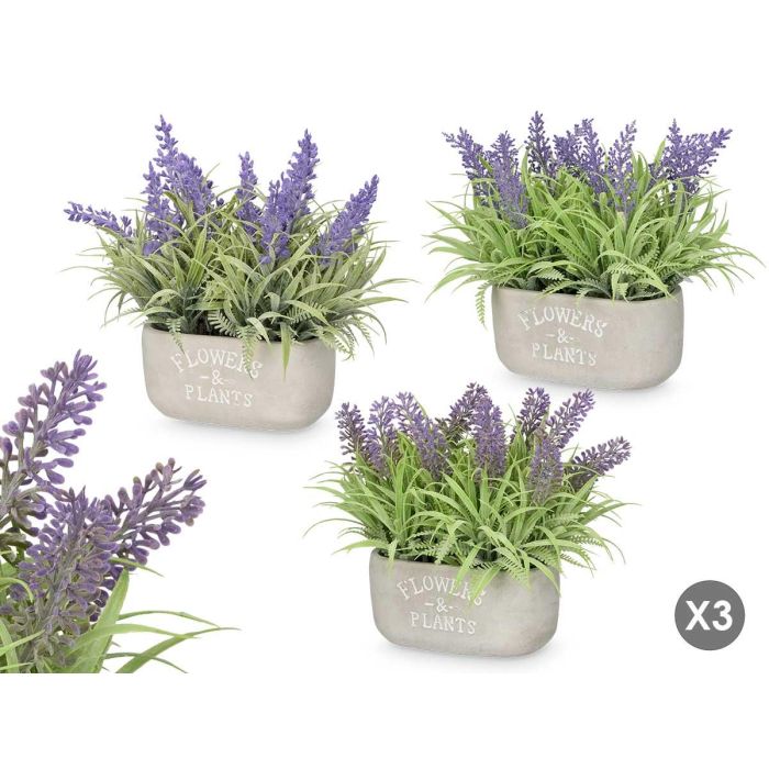 Ibergarden Jardinera Cemento Lavanda Plástico Cemento Corcho Morado Verde Surtidos 26x20x16 cm (Set de 16) 0 Ibergarden Jardinera Cemento Lavanda Plástico Cemento Corcho Morado Verde Surtidos 26x20x16 cm (Set de 16) 0