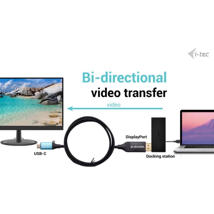 Cable USB i-Tec C31CBLDP8KBIDIR Negro 1