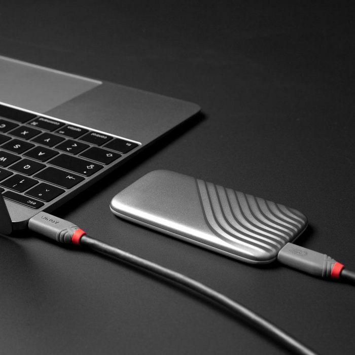 Lindy 2m USB 4 240W Type C Cable, Anthra Line 6