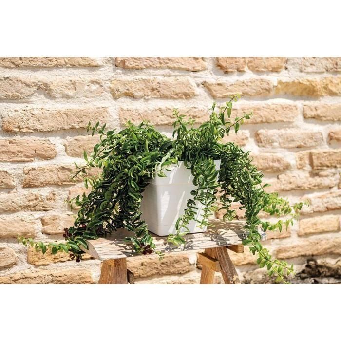 Maceta - DEROMA - Quadro Save R - 31L - 35cm - Blanco 1 Maceta - DEROMA - Quadro Save R - 31L - 35cm - Blanco 1