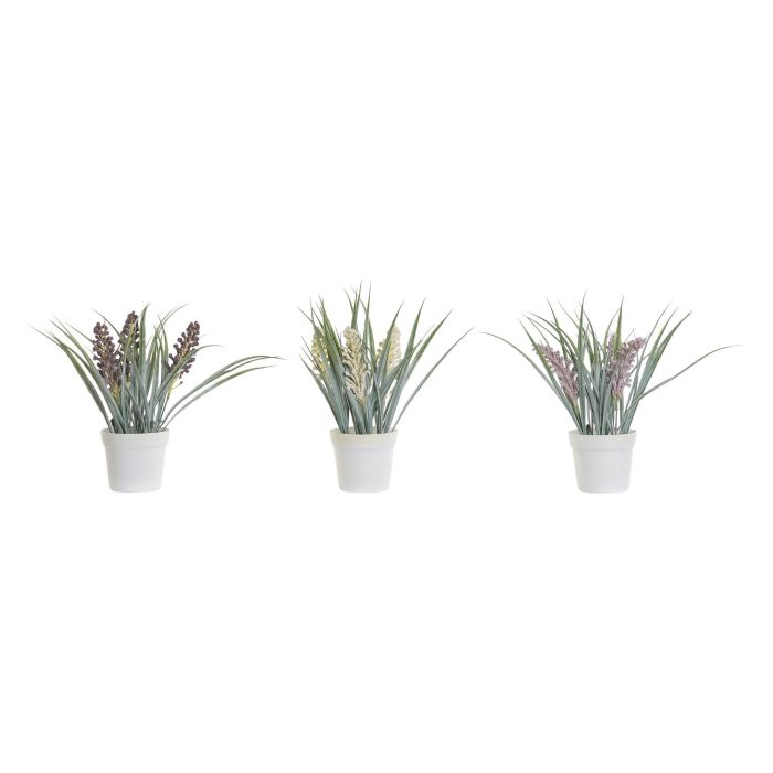 Planta DKD Home Decor Amarillo Burdeos 9 x 28 x 9 cm (12 Unidades) Planta DKD Home Decor Amarillo Burdeos 9 x 28 x 9 cm (12 Unidades)
