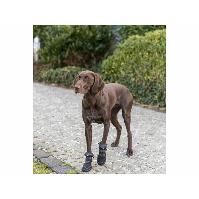 Andador de protección de patas Trixie Negro M/L 12 Andador de protección de patas Trixie Negro M/L 12