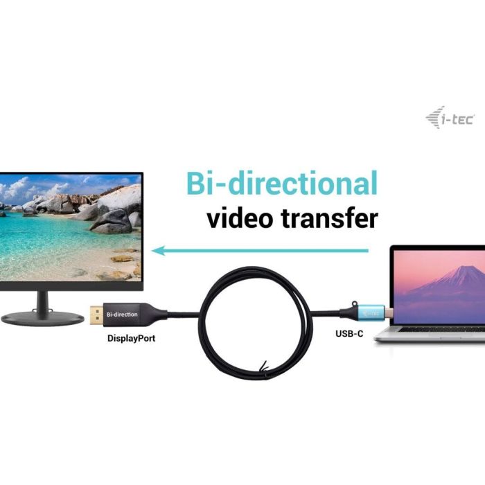 Cable USB i-Tec C31CBLDP8KBIDIR Negro 2