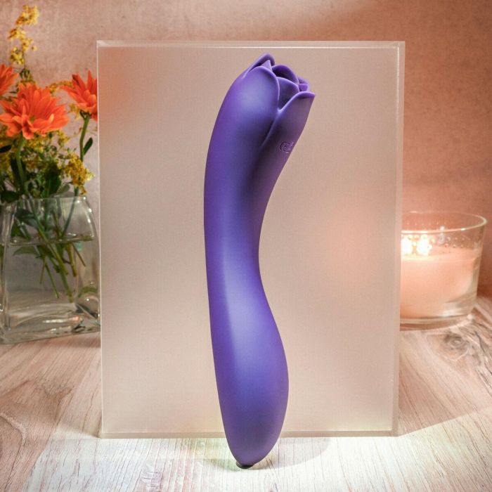 Vibrador Evolved Morado 5 Vibrador Evolved Morado 5