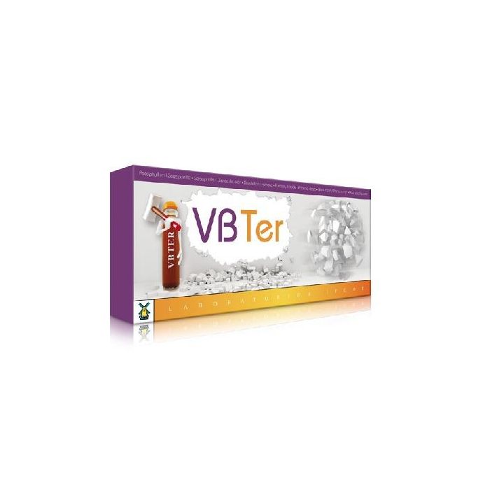 Vb-Ter Vb-Ter