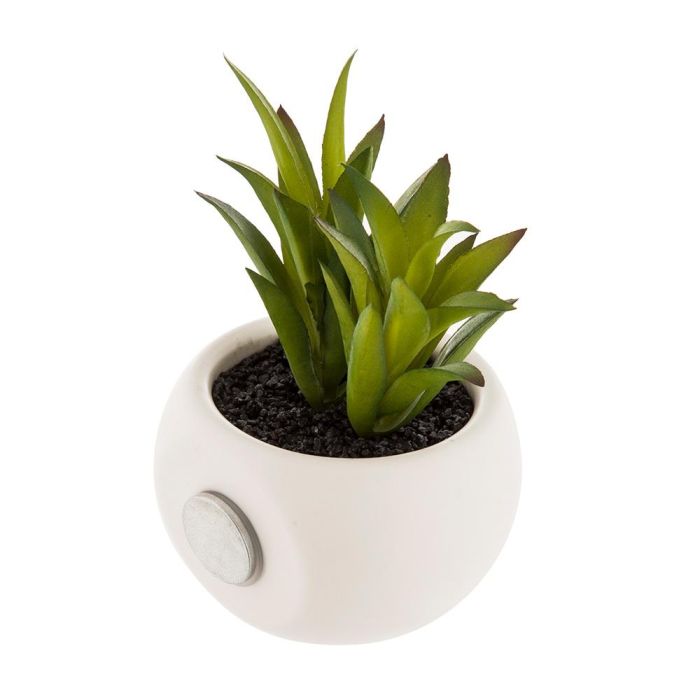 Atmosphera Mini plantas decorativas con iman modelos surtidos 6cm 0 Atmosphera Mini plantas decorativas con iman modelos surtidos 6cm 0