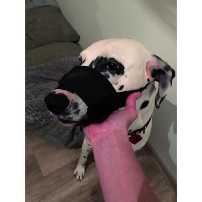 Bozal de nylon negro YAGO para perros grandes, bozal con red transpirable y ajustable 1 Bozal de nylon negro YAGO para perros grandes, bozal con red transpirable y ajustable 1