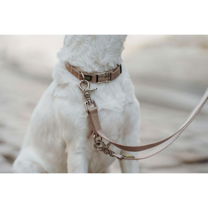 Collar para Perro Hunter Inari Beige M 30-45 cm 1