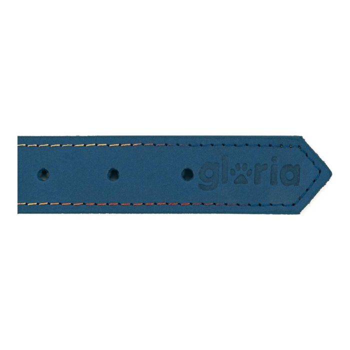 Collar Oasis 40 cm X 15 mm Azul 1 Collar Oasis 40 cm X 15 mm Azul 1