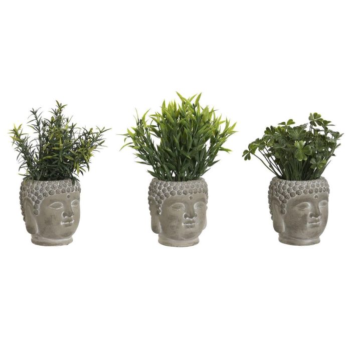 Planta DKD Home Decor Gris Verde 10 x 21 x 10 cm (3 Unidades)