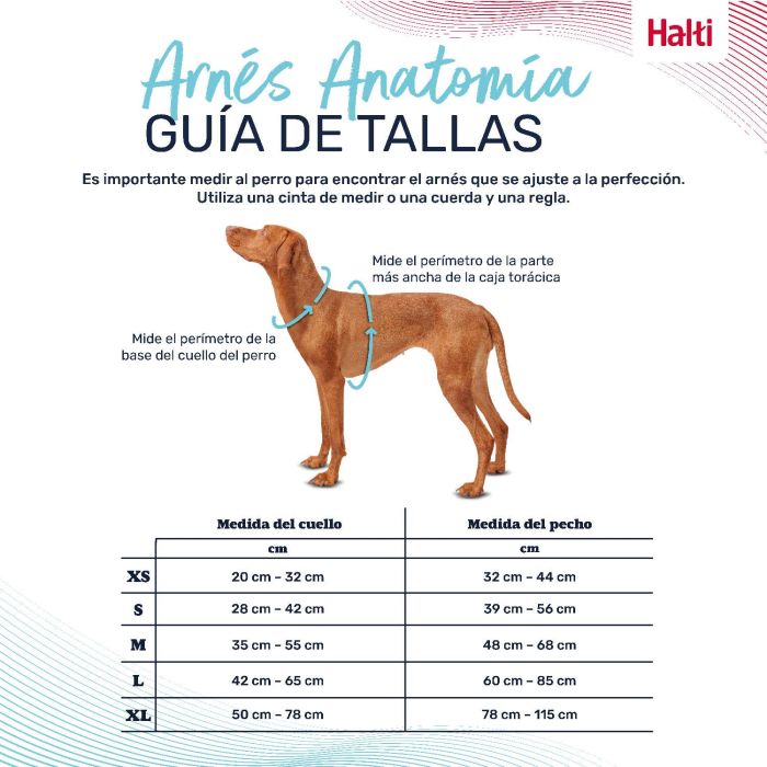 Halti Arnés Anatomy para Perro, Libertad de Movimiento, 5 Puntos Ajuste, Acolchado, Reflectante, Turquesa XS Cuerpo 32-44 cm 2