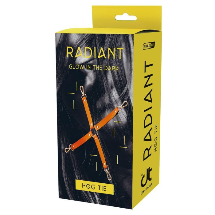 Columpio Dream Toys Radiant 1