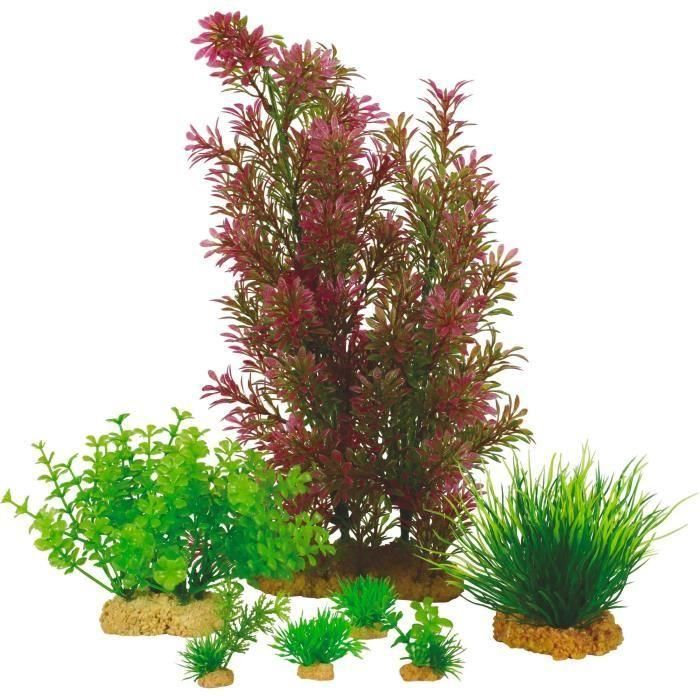 Plantas artificiales para acuario - ZOLUX - Plantkit - Talla M - Pack de 7 1 Plantas artificiales para acuario - ZOLUX - Plantkit - Talla M - Pack de 7 1