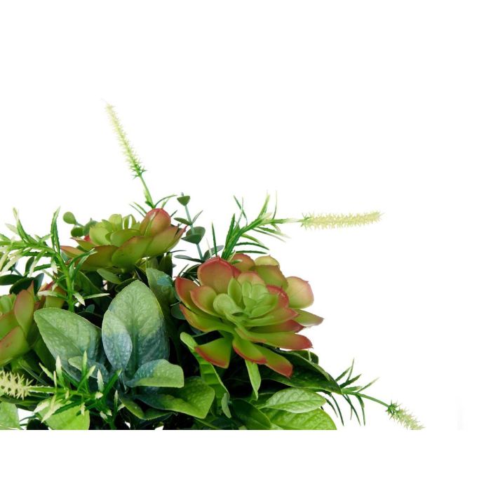 Copa Plastico Clasica Con Plantas Verdes Grande Ibergarden 25X36CM (4 Unidades) 2 Copa Plastico Clasica Con Plantas Verdes Grande Ibergarden 25X36CM (4 Unidades) 2