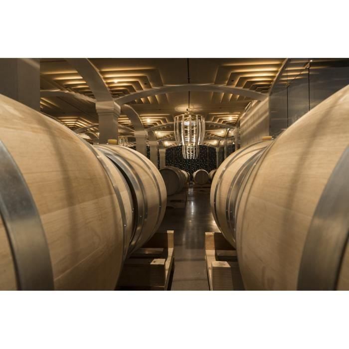 Château La Croix Montlabert 2016 Saint-Emilion Grand Cru - Vino tinto de Burdeos 3 Château La Croix Montlabert 2016 Saint-Emilion Grand Cru - Vino tinto de Burdeos 3