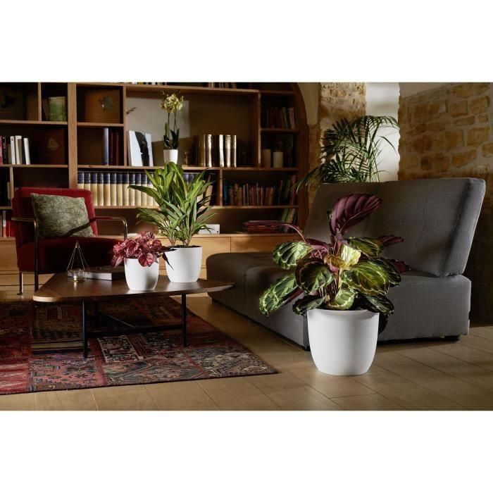 EDA EDA3086960265533 Chape Opal, Blanco, Diámetro 29.5 cm, 14.8 Litros 1 EDA EDA3086960265533 Chape Opal, Blanco, Diámetro 29.5 cm, 14.8 Litros 1