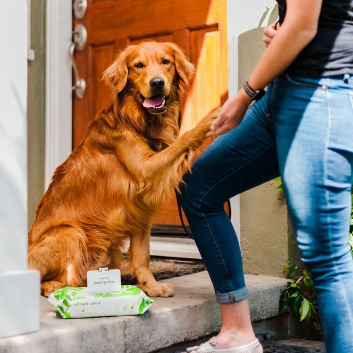 Earth Rated Toallitas Sin Perfume 100 Unidades Hipoalergénicas para Perros Aseo Diario con Aloe Vera y Manzanilla 1