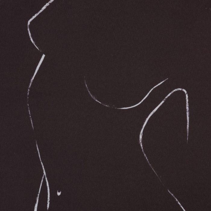 Cuadro Impresión Desnudo 2/M Dm 50 X 1,20 X 50 cm