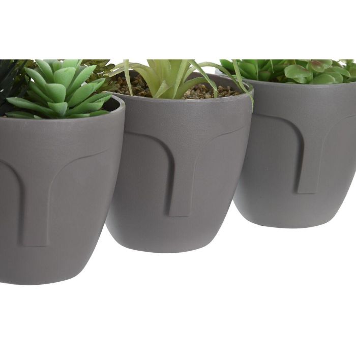 Planta Urban DKD Home Decor Gris Verde 11 x 15 x 11 cm (3 Unidades) 1 Planta Urban DKD Home Decor Gris Verde 11 x 15 x 11 cm (3 Unidades) 1