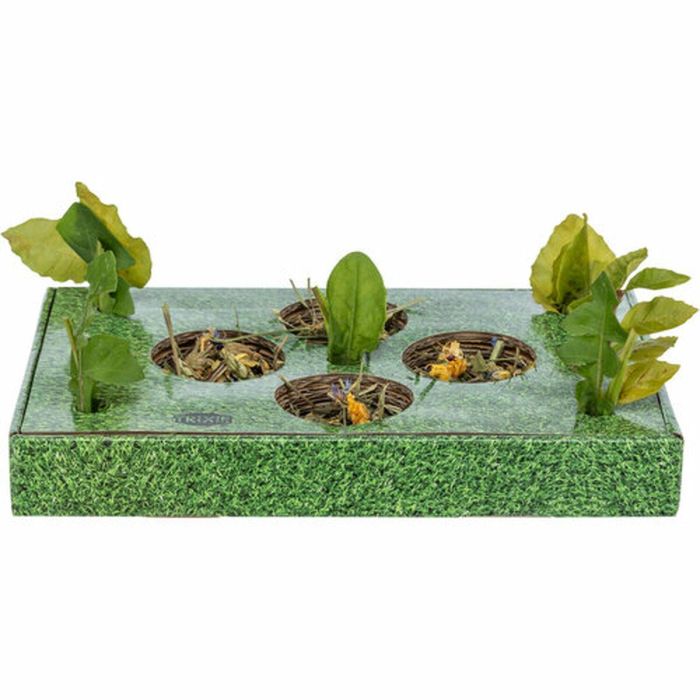 Bandeja de Aperitivos Trixie Verde Cartón 28 x 3,8 x 18 cm 11 Bandeja de Aperitivos Trixie Verde Cartón 28 x 3,8 x 18 cm 11