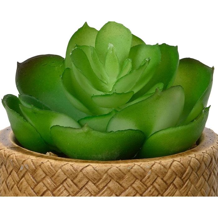 Planta suculenta artificial de 10cm modelos surtidos 809279 2