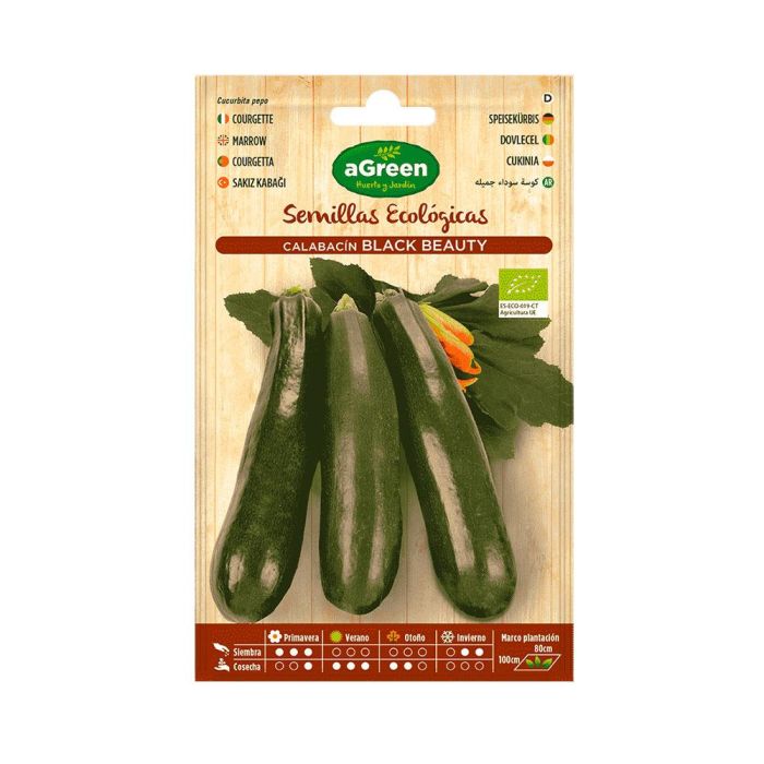 Agreen Sobre de semillas eco de calabacín Black Beauty - Sin ramificaciones, precoz, frutos finos y alargados
