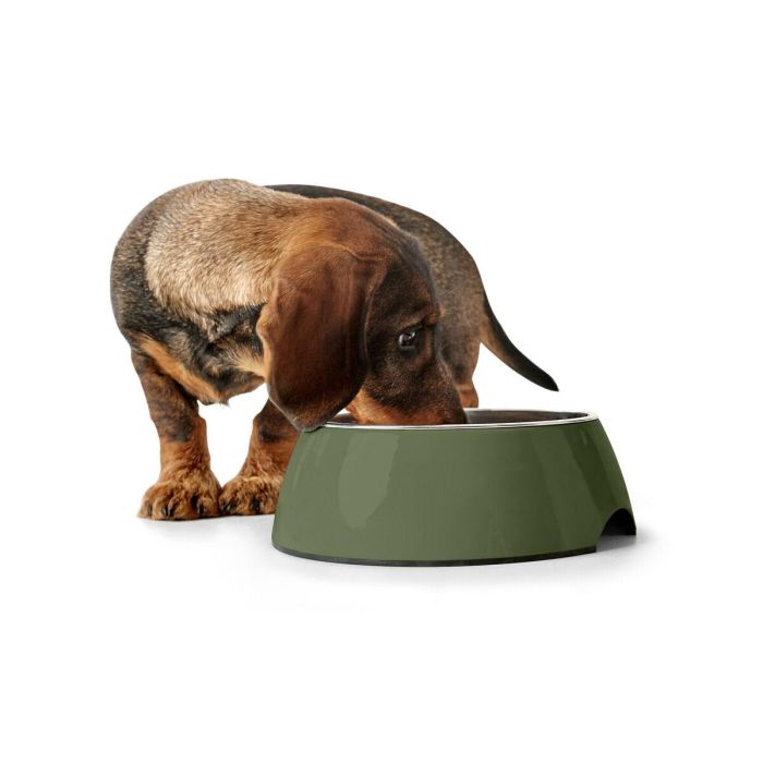 Comedero para Perro Hunter Verde 350 ml 1 Comedero para Perro Hunter Verde 350 ml 1