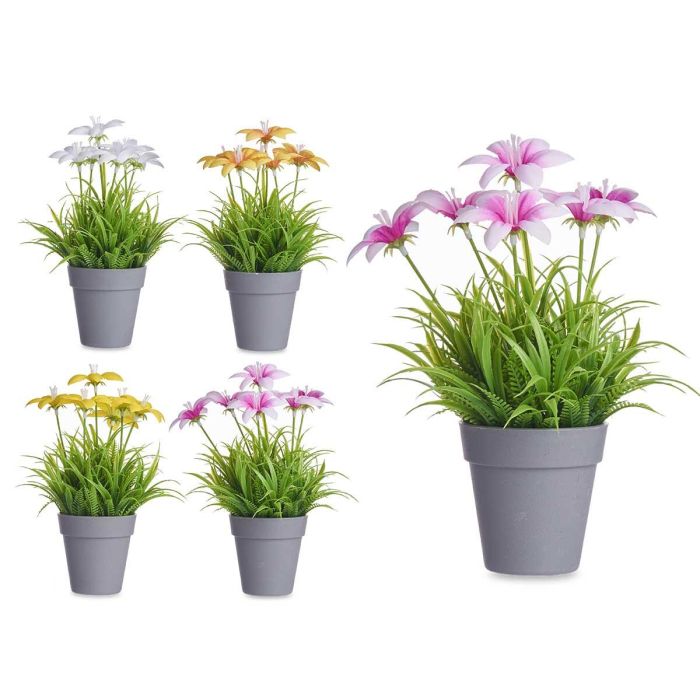 Ibergarden Maceta Flor Abierta Surtida, diámetro 8 cm para plantas, 14x21x14 cm, colores aleatorios (24 Unidades) Ibergarden Maceta Flor Abierta Surtida, diámetro 8 cm para plantas, 14x21x14 cm, colores aleatorios (24 Unidades)