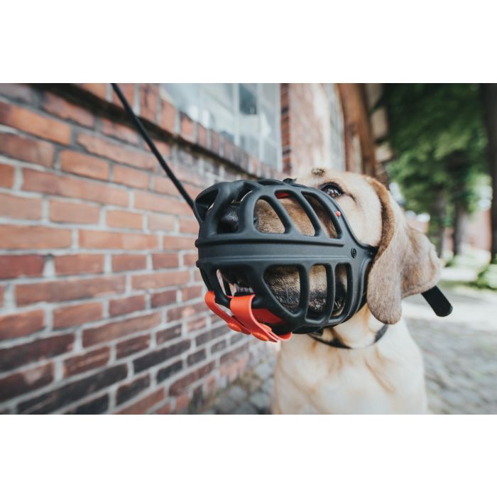 Hunter Bozal Albury 5 para Perros con Protección Anticebos Envenenados. Flexible, Plástico Resistente, Acolchado, Permite Beber y Jadear, Negro. 10