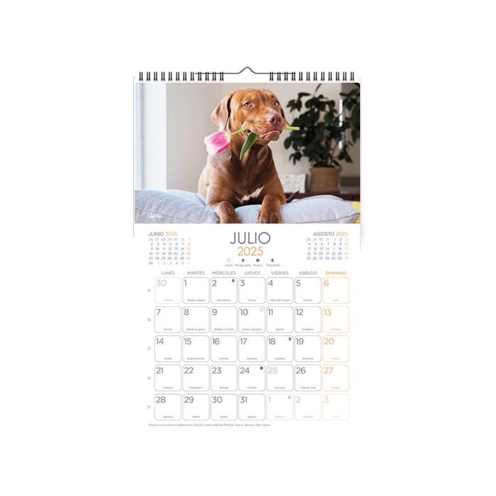 Calendario Espiral Pared Liderpapel Imagenes Perros 2025 Para Escribir 25x40 cm Papel 157 gr 2